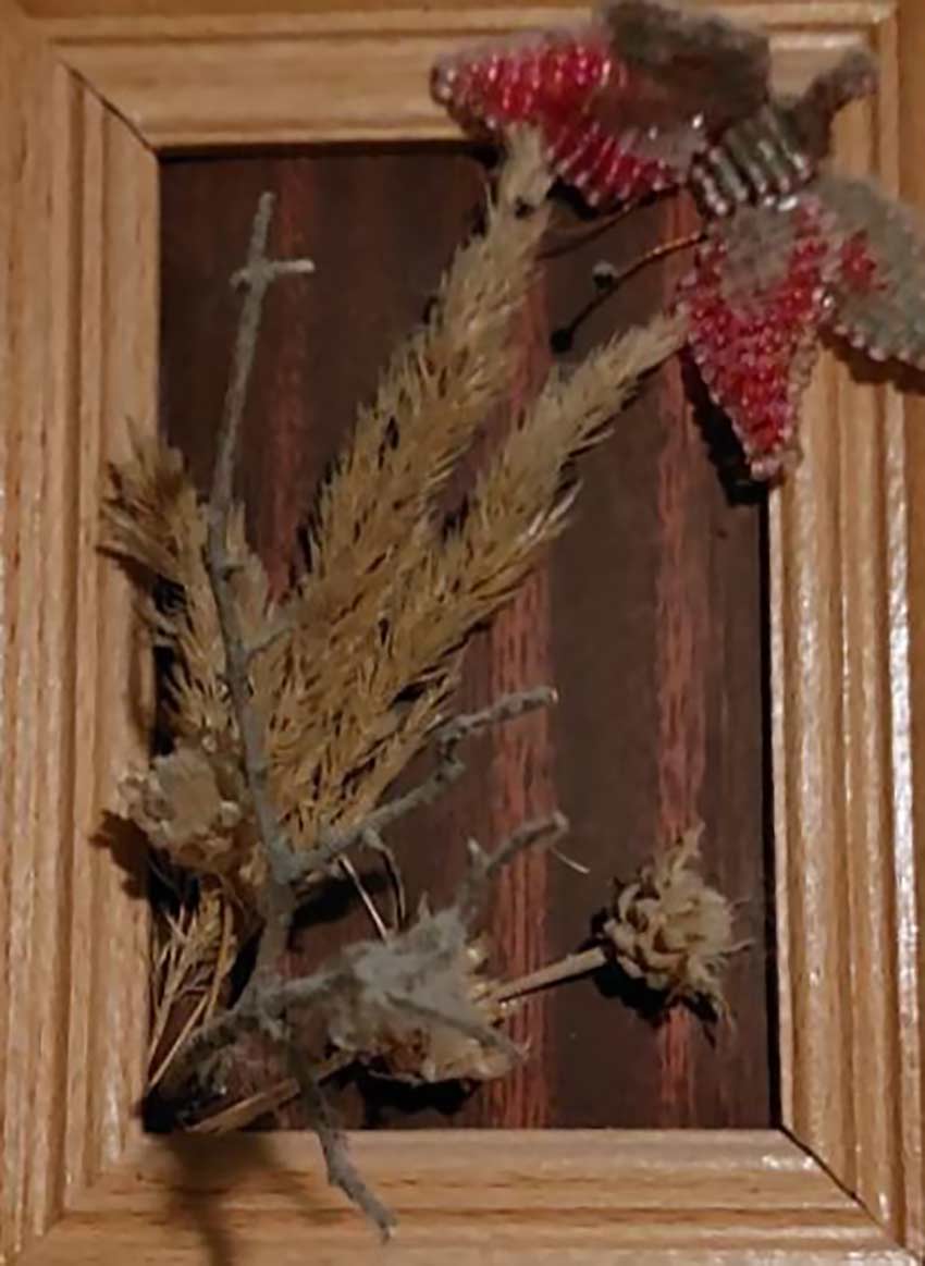 Краса врятує світ