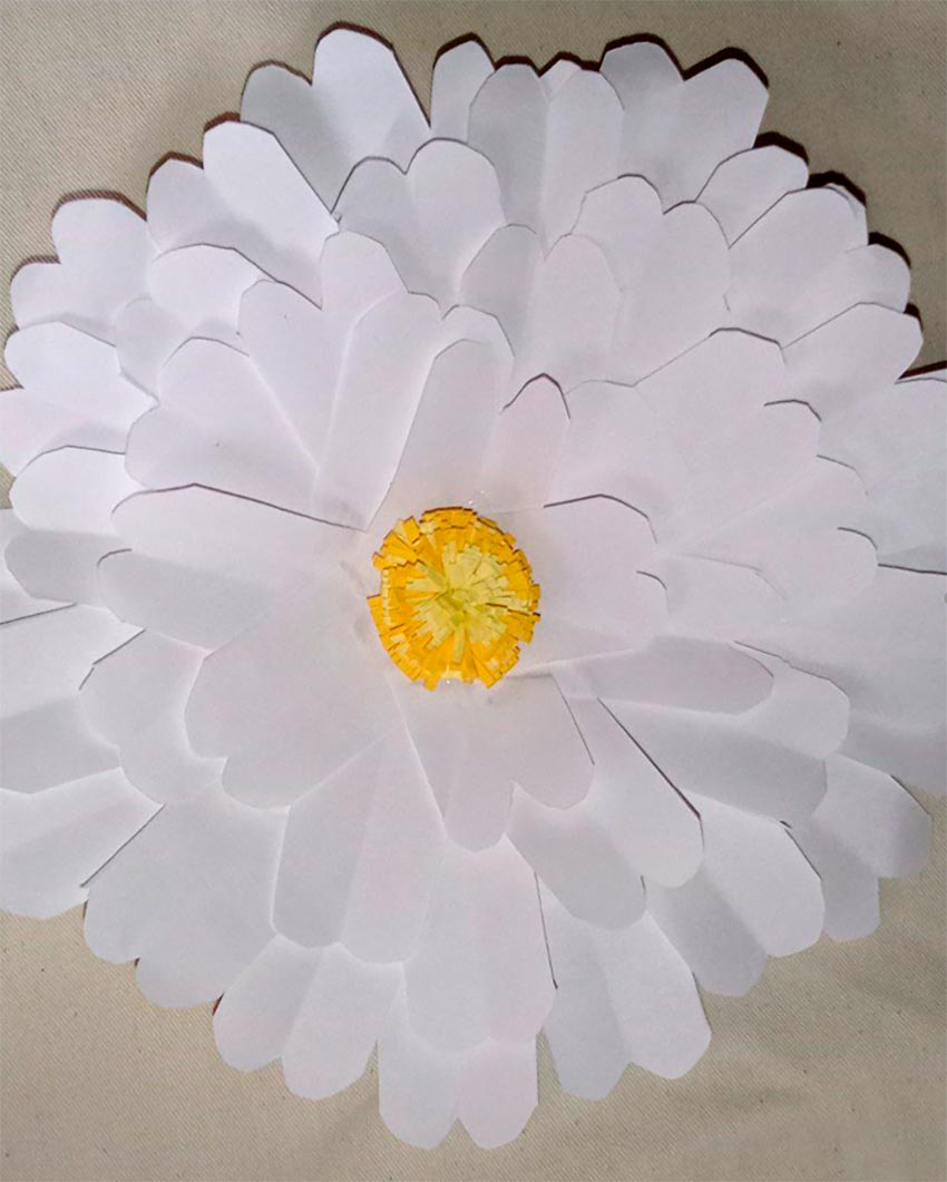 2024 117 steponavichute tuberkules 01