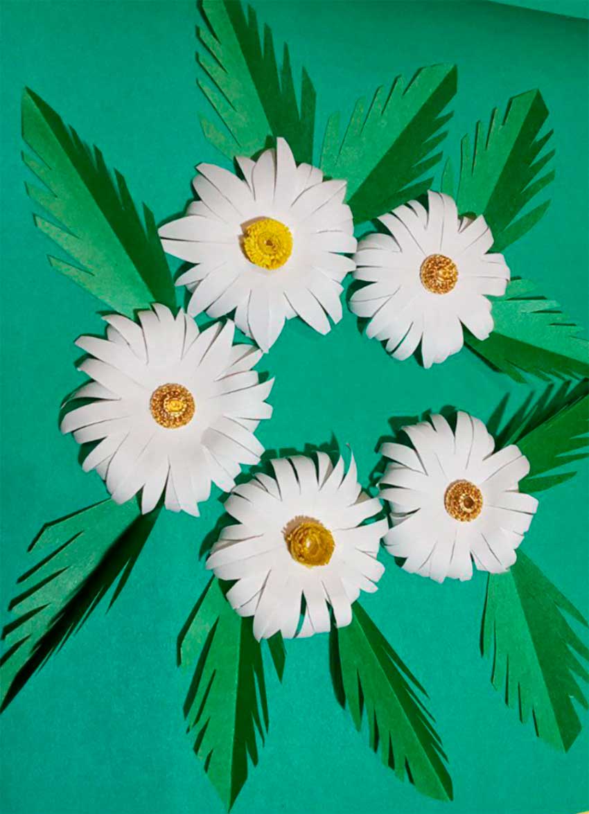 2024 117 veretuk tuberkules 01