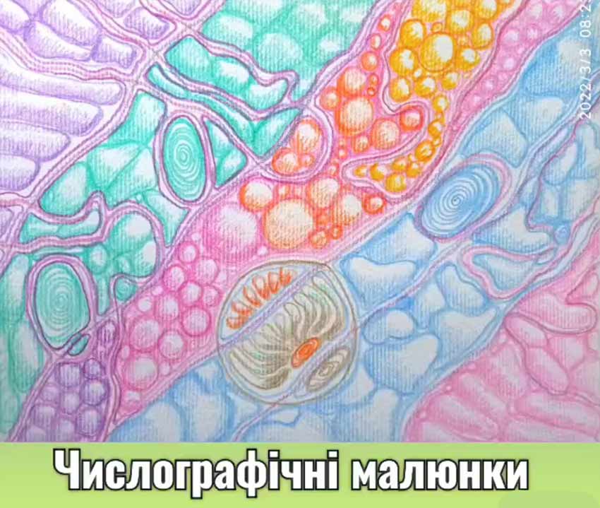 Числографічні малюнки для гармонізації